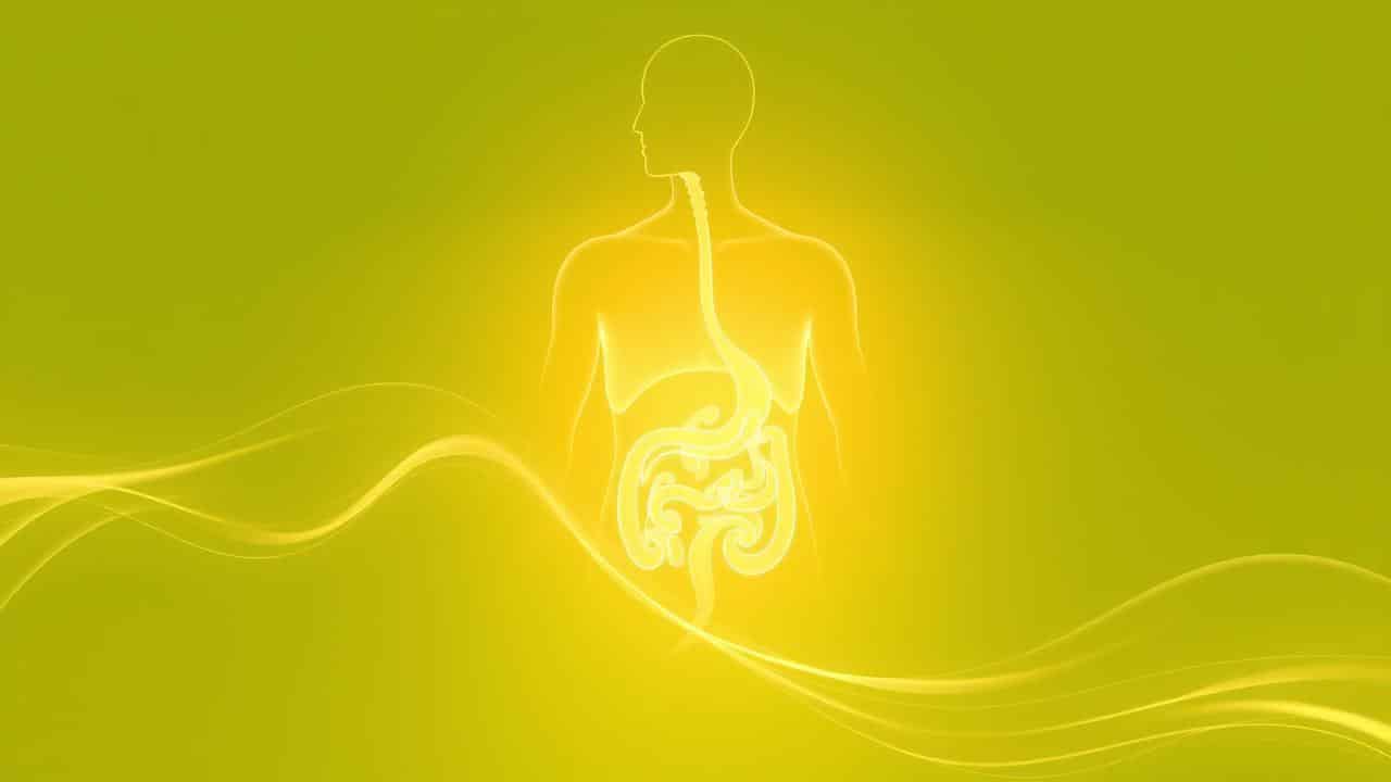 Silhueta humana com órgãos brilhando, cercada por linhas de purificação e ervas detox como erva-doce, alcachofra e boldo.